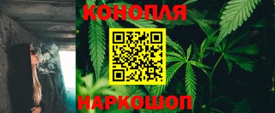 прущая мука Гай
