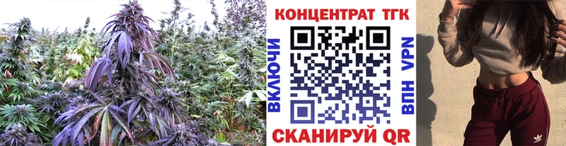omg зеркало  Кондопога  ТГК Wax  сколько стоит 