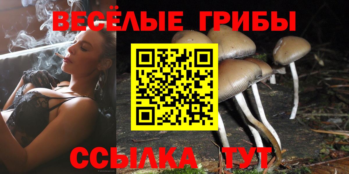 Кондопога  Псилоцибиновые грибы MAGIC MUSHROOMS  Галлюциногенные грибы ЛСД  купить закладку  Вход с VPN 