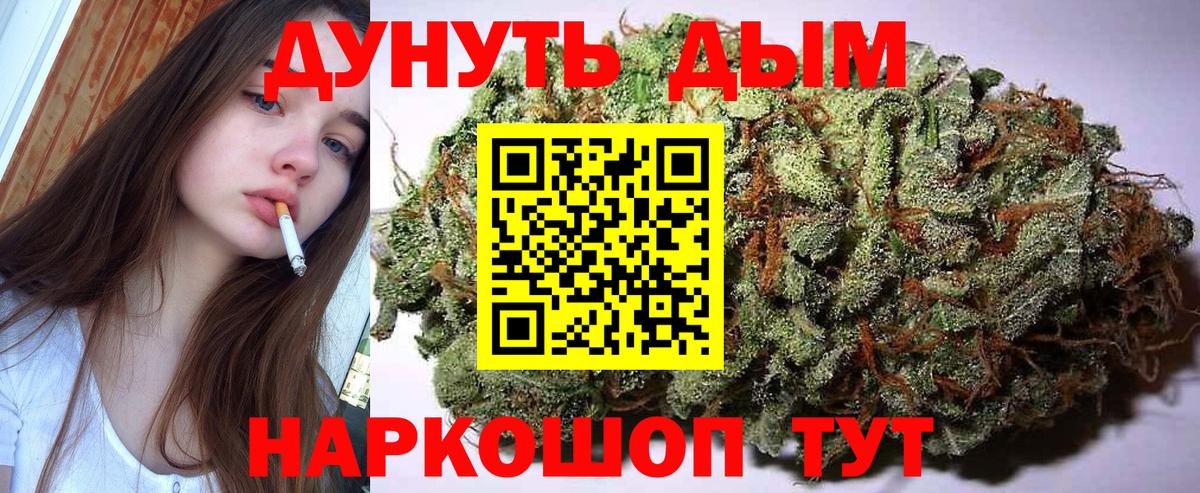 Бошки Шишки план  Конопля VHQ  Вход с VPN  Канабис THC 21%  Кондопога  Канабис OG Kush 